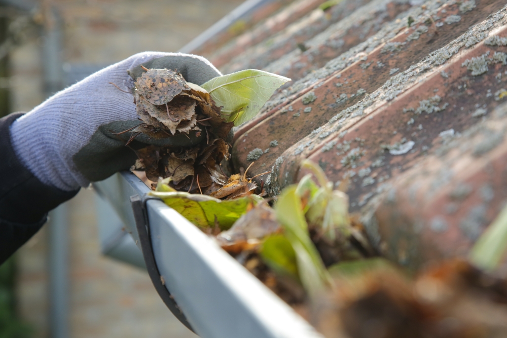 Roof & Gutter Cleaning